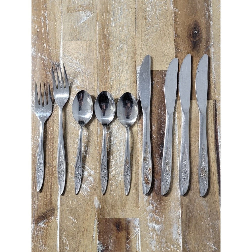 National Stainless VASSAR Spoon Fork Knives Flatware Silverware Lot of 9